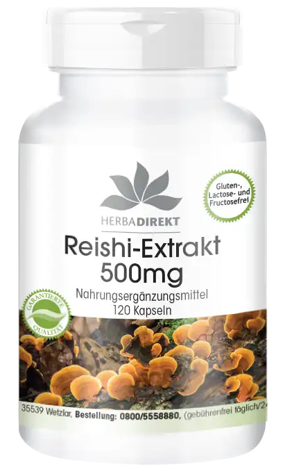 Extrait de Reishi 500mg