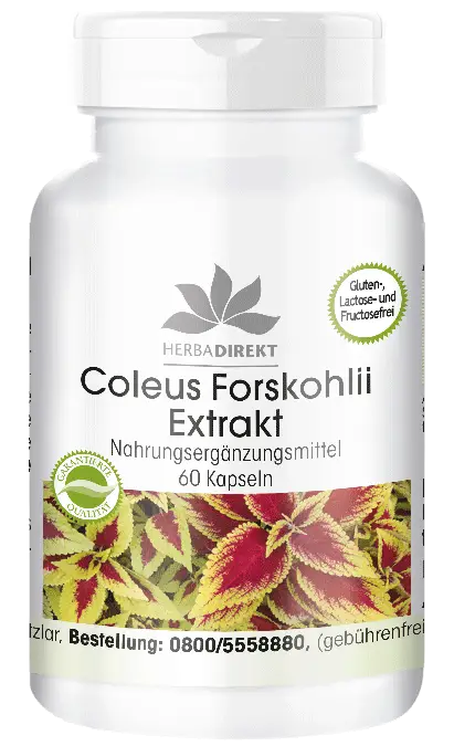 Coleus forskohlii extract 50mg