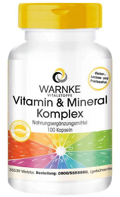 Vitamin & Mineral Komplex 100 Kapseln Vitamin & Mineral Komplex 100 Kapseln